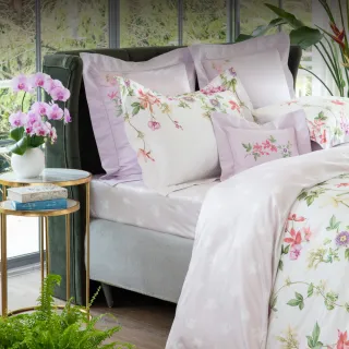 【WEDGWOOD】義大利300織長纖棉 印花鬆緊床包一件｜蜂鳥花舞 花舞白(百貨款｜加大180x186cm)