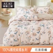 【ALAI寢飾工場】台灣製 100%精梳純棉枕套床包組(單人/雙人/加大 均一價 多款任選)