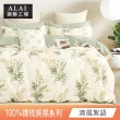 【ALAI寢飾工場】台灣製 100%精梳純棉枕套床包組(單人/雙人/加大 均一價 多款任選)