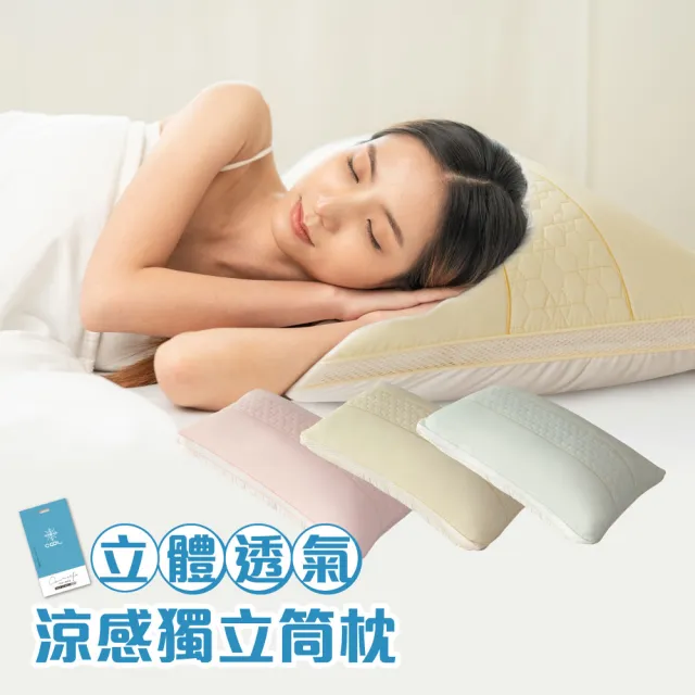 【寢室安居】Zero Heat立體透氣涼感彈力抗菌獨立筒枕(台灣製造)
