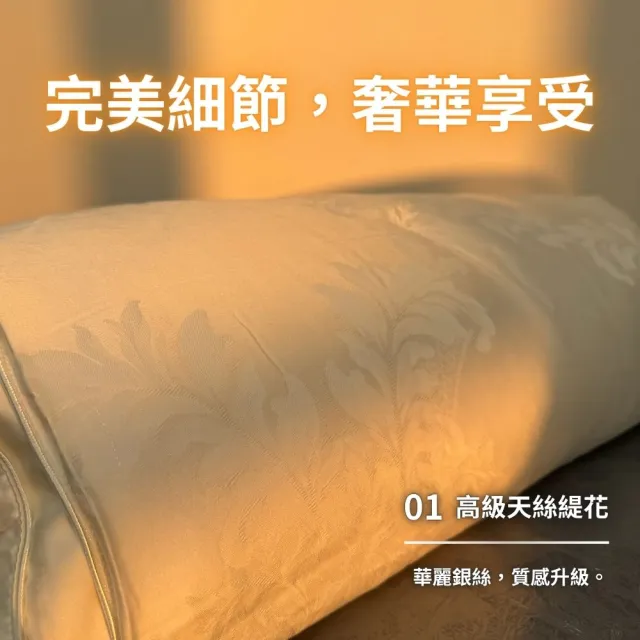 【Mexsmon 美思夢】台灣工廠出貨 殿堂級 2.5kg純手工長纖雙宮繭蠶絲被(6X7尺)100%桑蠶絲100支頂級天絲被套