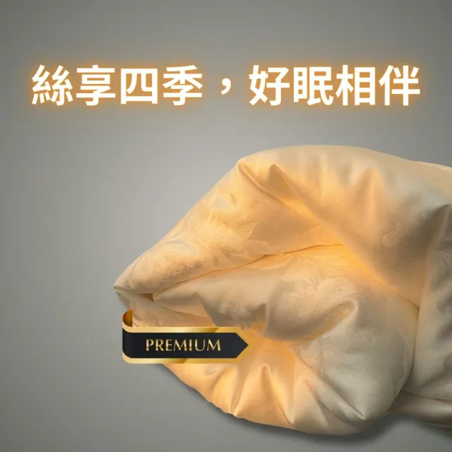 【Mexsmon 美思夢】台灣工廠出貨 殿堂級 2.5kg純手工長纖雙宮繭蠶絲被(6X7尺)100%桑蠶絲100支頂級天絲被套