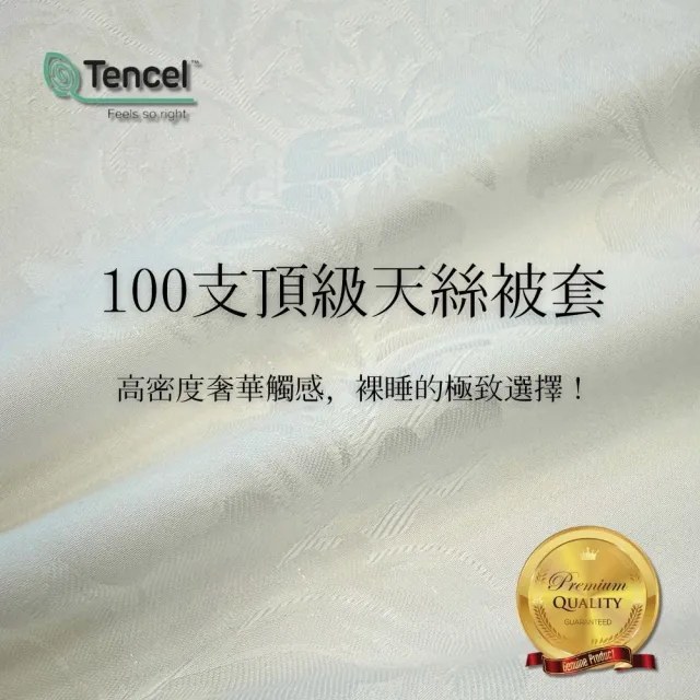 【Mexsmon 美思夢】台灣工廠出貨 殿堂級 2.5kg純手工長纖雙宮繭蠶絲被(6X7尺)100%桑蠶絲100支頂級天絲被套
