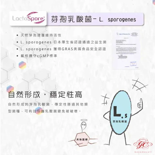【肌容雪】長鎂菌 15包/盒(單一活性芽孢乳酸菌)