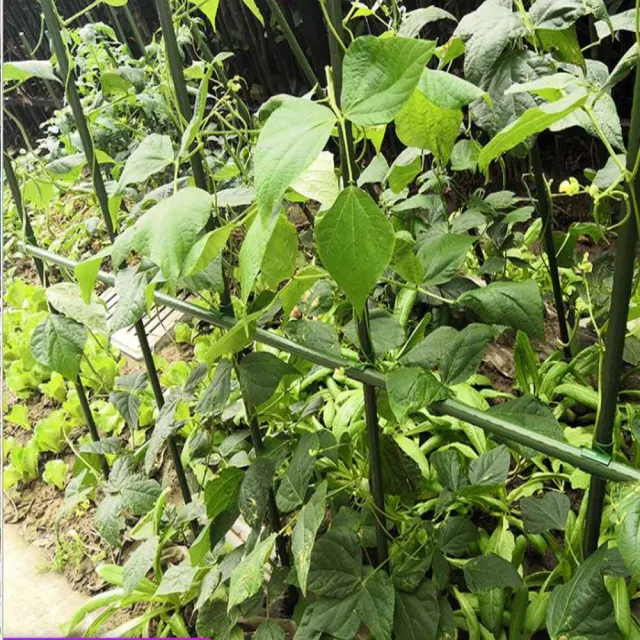 【poko】包塑 鐵管 爬藤桿11mm 150公分 16入組附鐵絲扣 菜架 菜棚 鐵竿 園藝植物桿 藤蔓攀藤架