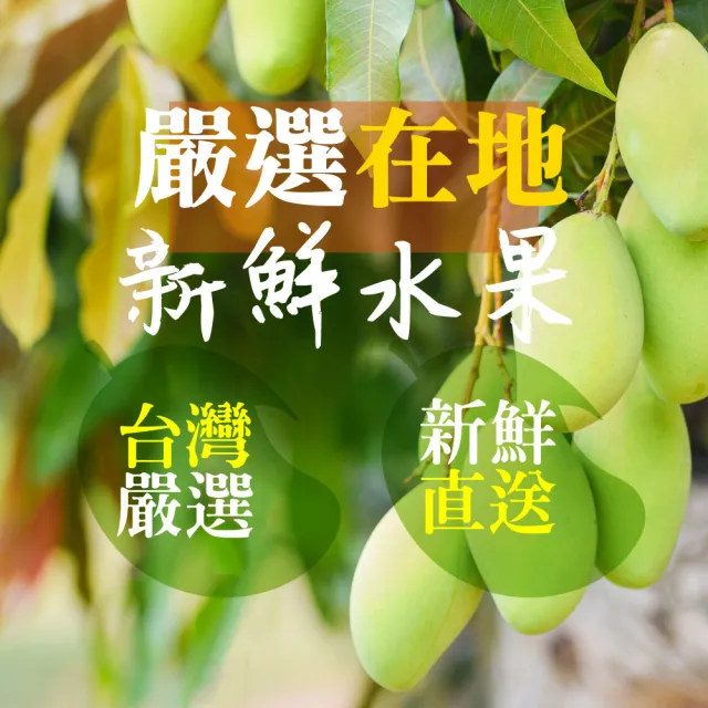 【甜園】情人果乾 120gx5包(★無糖情人果乾★梅香情人果乾★酸甜開胃★女孩最愛★台灣青芒)