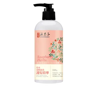 【古寶無患子】草本柔順滋養護髮精華320g(無矽靈/維生素B5/有機山茶花油/摩洛哥油)