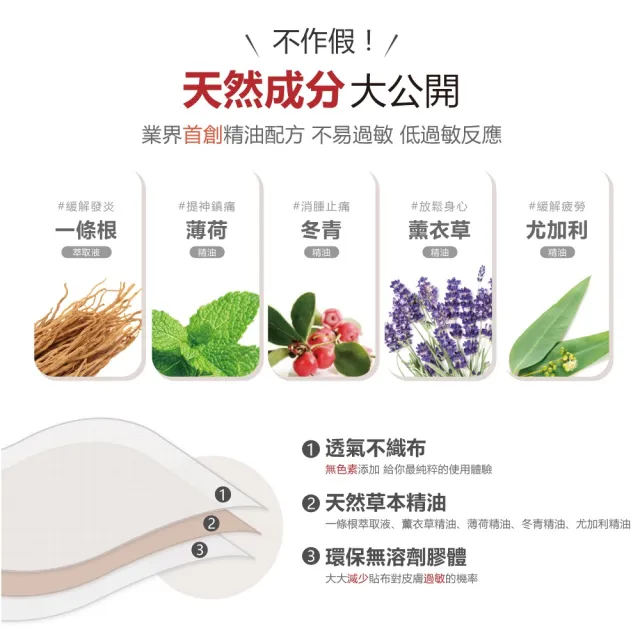 【花芊生技】金牌 金門一條根加倍精油貼布 24入組(8片/1包 加倍涼感 深層清涼)