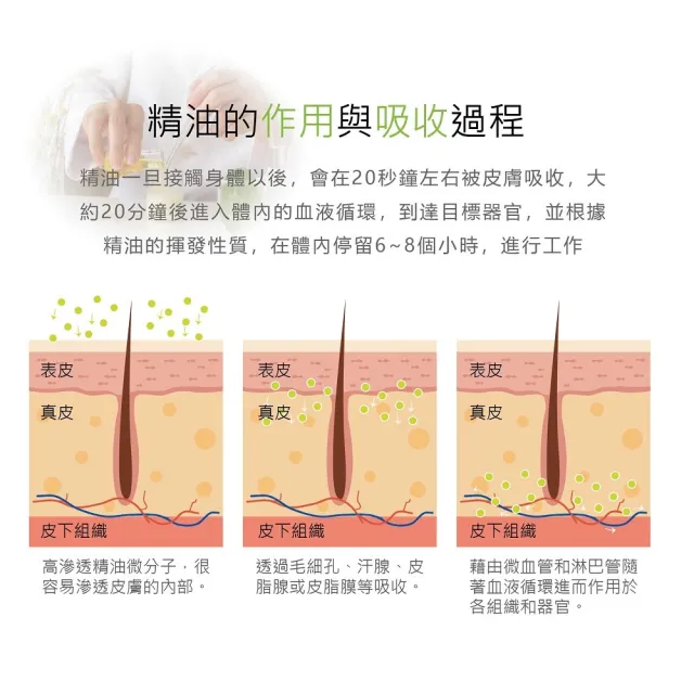 【Flowers 花芊】金牌 金門一條根加倍精油貼布 24入組(8片/1包 加倍涼感 深層清涼)