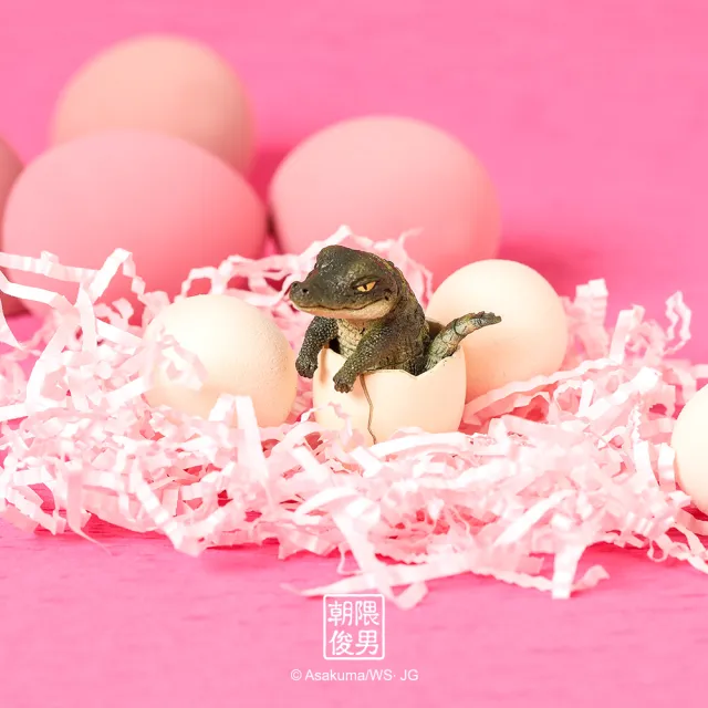 【YENDAR 研達】朝隈俊男 Baby Animal [單盒](超萌寶寶來襲!)