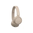 【SONY 索尼】WH-CH520 無線藍牙耳罩式耳機(公司貨 保固12個月)