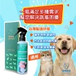 【家醫生】跳蚤噴霧劑 200ml(非化學藥劑對寵物友善)