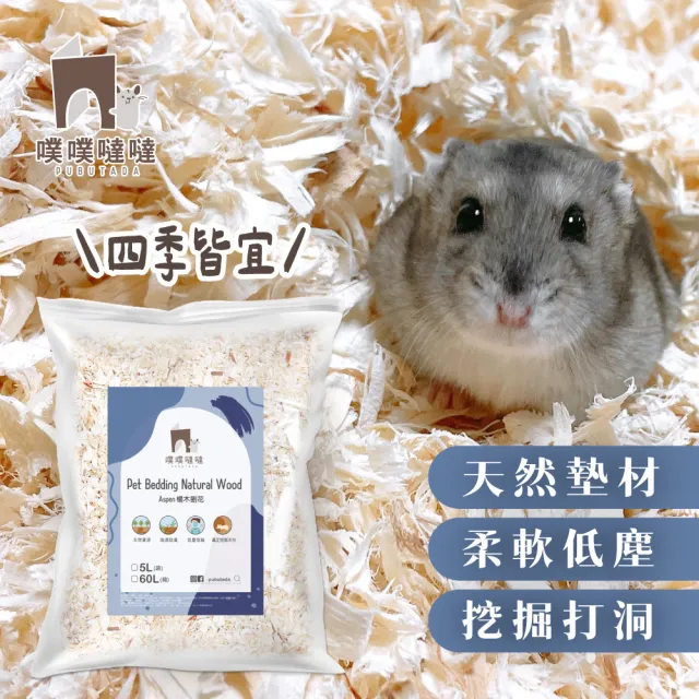 【PUBUTADA 噗噗噠噠】楊木刨花 60L箱裝(倉鼠 黃金鼠 沙鼠 四季墊料 木屑)
