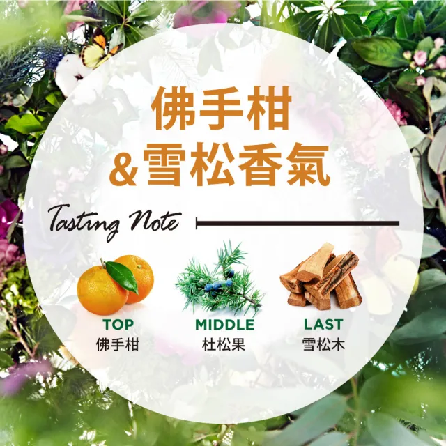 【Laundrin】Botanical柔軟精補充包430mlx3(佛手柑+雪松)