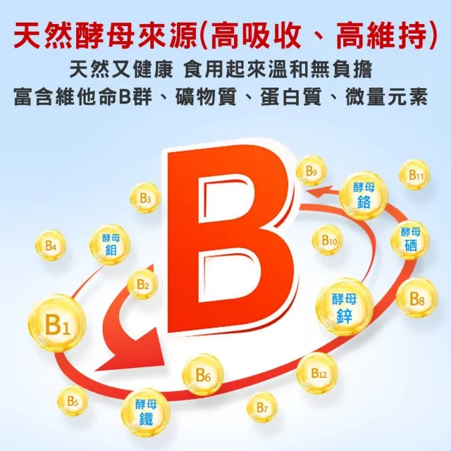 【華寶生醫】緩釋綜合酵母維他命B群(30顆/袋 全素)