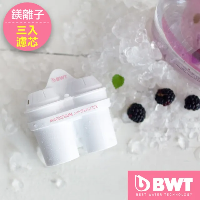 【BWT 德國倍世】鎂離子濾芯 3入組(歐洲原裝進口)