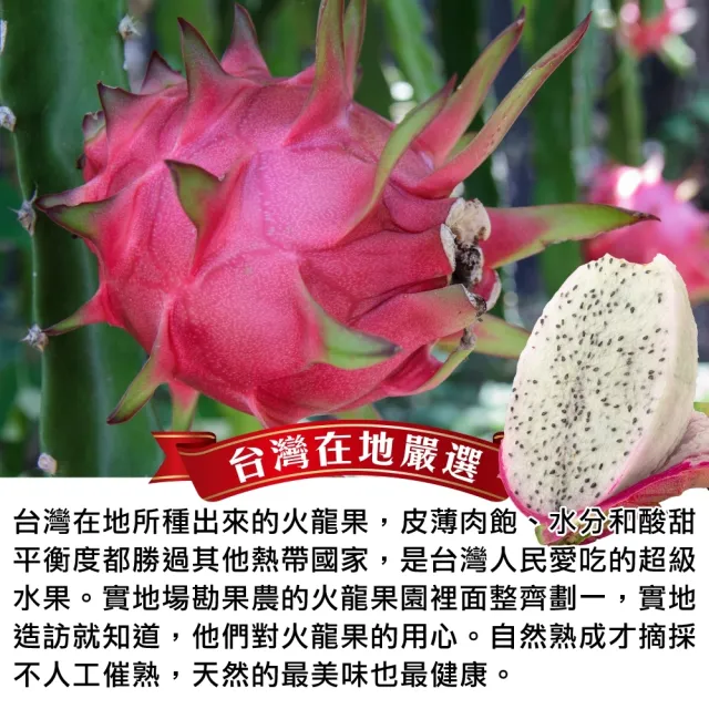 【WANG 蔬果】台灣白肉火龍果5斤x1箱(6-8顆/箱)