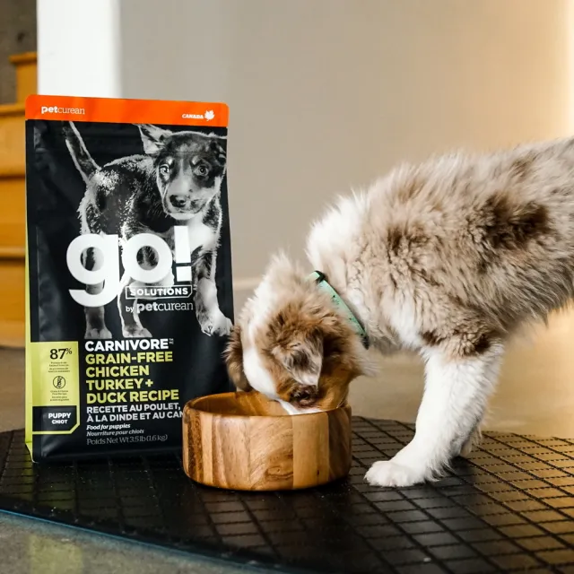 【Go!】雞肉鮭魚 3.5磅 幼犬/懷孕犬高肉量系列 無穀天然糧(狗糧 挑嘴 狗飼料)