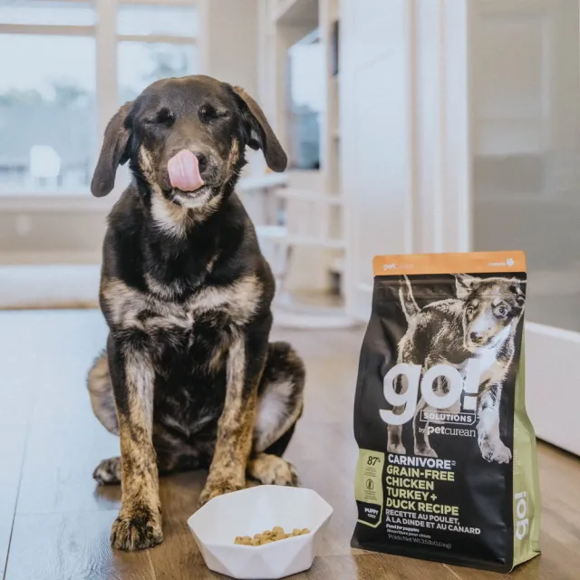 【Go!】雞肉鮭魚 3.5磅 兩件優惠組 幼犬/懷孕犬高肉量系列 無穀天然糧(狗糧 挑嘴 狗飼料)