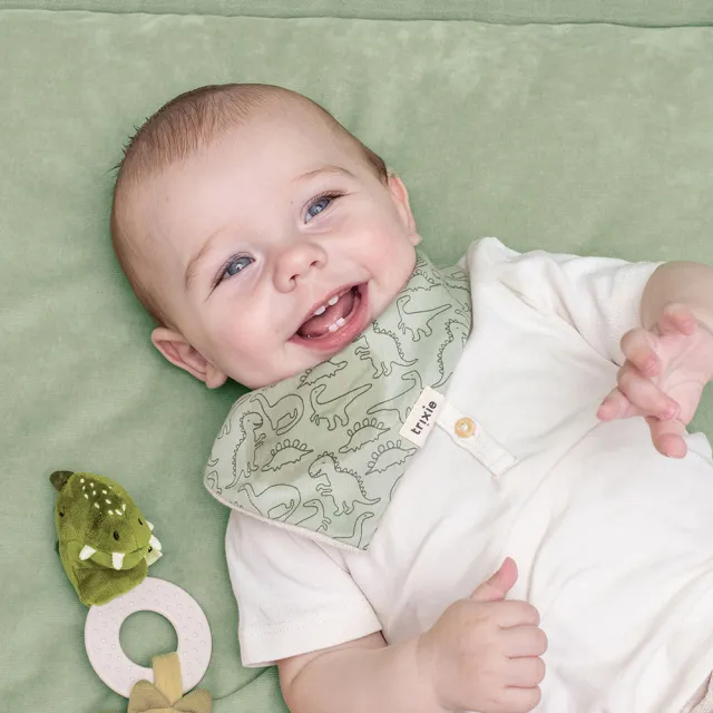 【Trixie 比利時】有機棉三角兜3件組 多款可選(圍兜 副食品圍兜 口水巾)