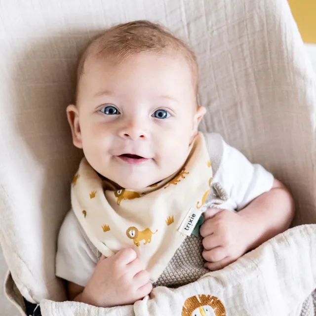 【Trixie 比利時】有機棉三角兜3件組 多款可選(圍兜 副食品圍兜 口水巾)