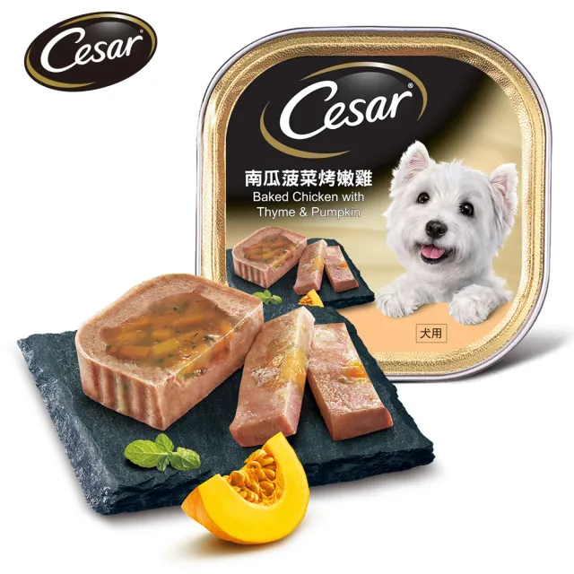 【Cesar 西莎】經典風味餐盒 100g*24入(狗罐/犬餐盒/熟齡犬/全齡適用)