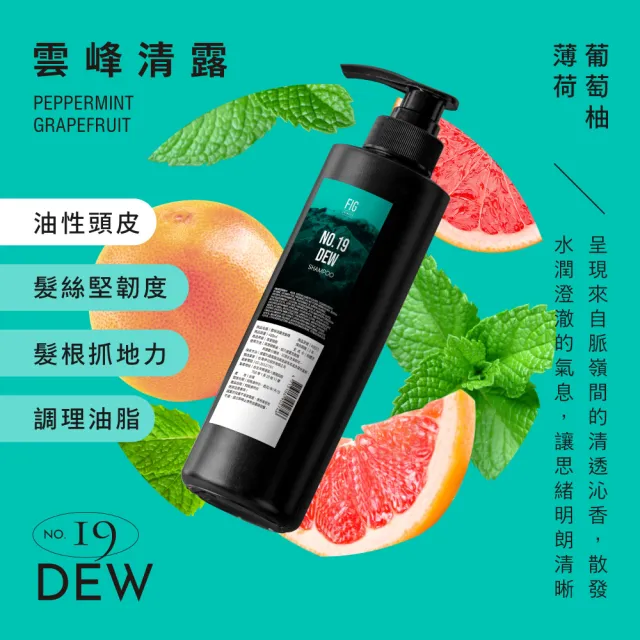 【伊聖詩】FIG 洗髮精480ml(大武山間/雲峰清露/沙龍級洗髮)