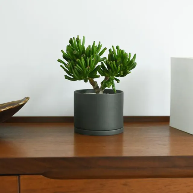 【Kinto】PLANT POT 191陶瓷花盆10.5cm-深灰 2.0