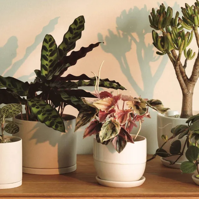 【Kinto】PLANT POT 191 陶瓷花盆13.5cm-大地灰 2.0