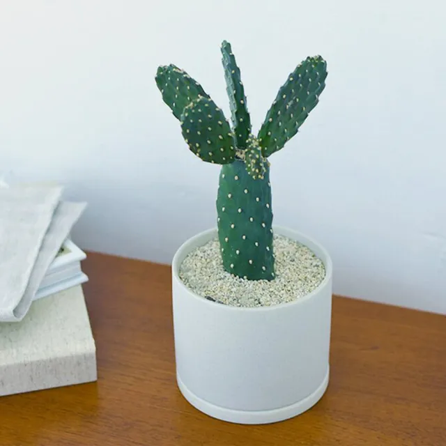 【Kinto】PLANT POT 191 陶瓷花盆13.5cm-大地灰 2.0