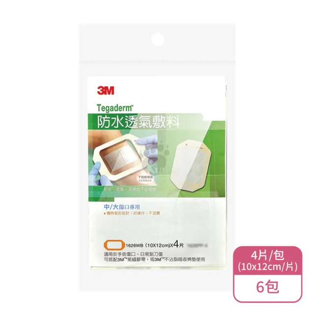 【3M】防水透氣敷料X6包 10x12cm 中/大傷口專用 1626WB(4片/包)