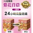 【iVENOR】十時塑花草茶-綜合口味x24盒(共240包 飲后囤貨組)