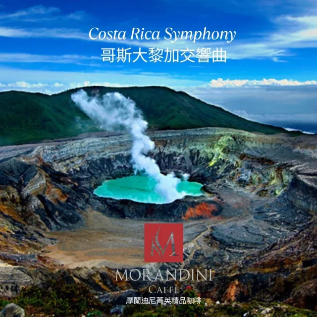 【MORANDINI 摩蘭迪尼菁英精品咖啡】哥斯大黎加交響曲 單品咖啡豆1磅(新鮮到貨、頂級精品咖啡的單品代表)