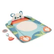 【Fisher price 費雪】經典益智啟蒙玩具(匯樂感統玩具/聲光玩具/安撫玩具/寶寶玩具/男孩玩具/女孩玩具)