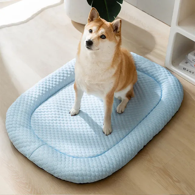 【bebehome】橢圓透氣涼感寵物墊S(寵物墊 寵物用品)