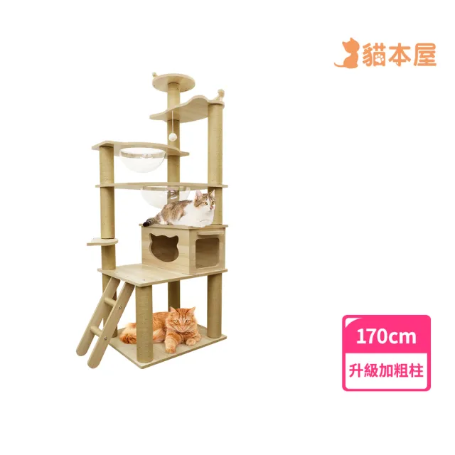 【貓本屋】加粗8.5CM麻繩柱加厚1.5CM木板多層貓跳台(170cm)