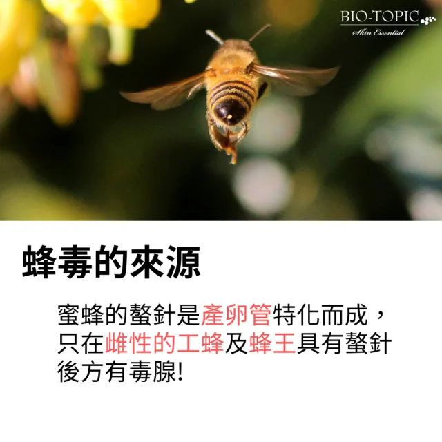 【BIO-TOPIC 塔碧絲】活齡蜂毒精純霜50ml