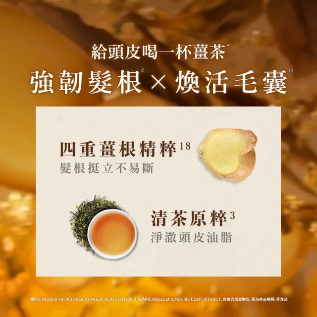 【Hair Recipe】舊品出清! 生薑蘋果/生薑清茶 洗髮精/潤髮乳530ml(強韌x防斷)