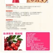 【幸美生技】美國進口鮮凍蔓越莓1kgx1包(農殘 重金屬 檢驗通過)