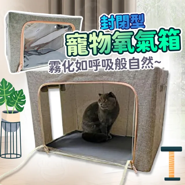 【2026必買】寵物澡盆終極推薦清單 | BALIMAN情報局