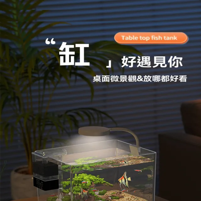 【星治】烏龜缸/水族箱/懶人魚缸/亞克力魚缸 預計10工作天送達(40*23*27cm 裸缸)
