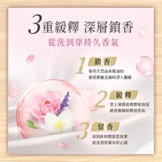 福利品/即期品【Lenor 蘭諾】衣物芳香豆/香香豆 520ml+4D抗菌洗衣膠囊 11顆 盒裝(晨曦玫瑰/甜柔麝香)