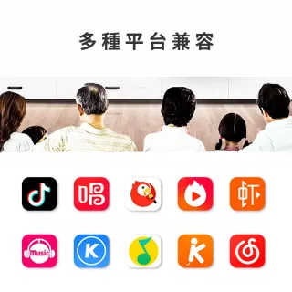 【LEBO樂柏】無線雙麥克風音箱(台灣BSMI認證 藍芽音箱 消除人聲 唱歌 無線 行動ktv 雙麥克風 露營 直播)