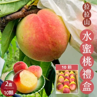 【初品果】拉拉山水蜜桃禮盒10顆2盒(10顆/盒 共2.4kg 產地直送 季節限定 企業送禮)