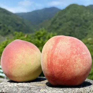 【初品果】拉拉山水蜜桃禮盒10顆2盒(10顆/盒 共2.4kg 產地直送 季節限定 企業送禮)