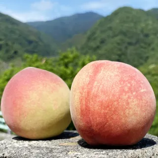 【初品果】產地直送-拉拉山水蜜桃禮盒10顆1盒(10顆/盒 2斤 季節限定 三節送禮)