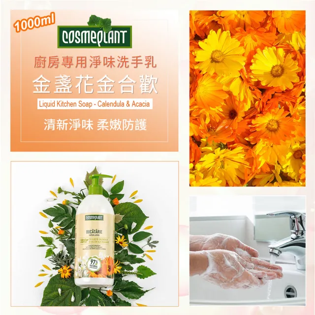 【摩爾多瓦COSMEPLANT】任選4入大容量抗菌洗手乳1000ml(鼠尾草薄荷/洋甘菊/金盞花金合歡)