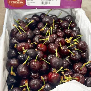 美國華盛頓櫻桃 9.5R 5kg原裝箱