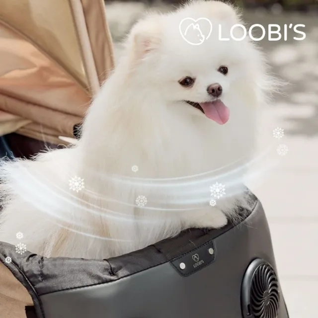 【LOOBI’S】AIR FREEZE 冷凍凝膠冰袋 3片組(寵物風扇 冰袋 涼感 保冰袋 寵物冰墊)
