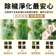 【財神小舖】全家露營旅行出遊-開運除穢組(招財/淨化/平安/洗髮精+沐浴露+嬰兒二合一60ml各1)